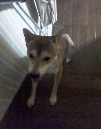 20051002_1312_0000.jpg