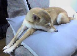 20051115_1625_0000.jpg