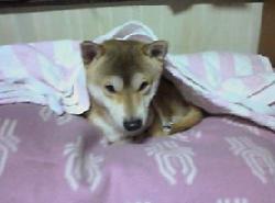 20051125_2208_0000.jpg